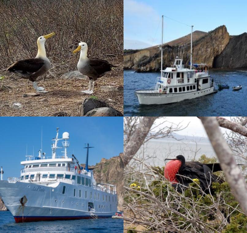 Galapagos Lastminutes & Jungle Tours