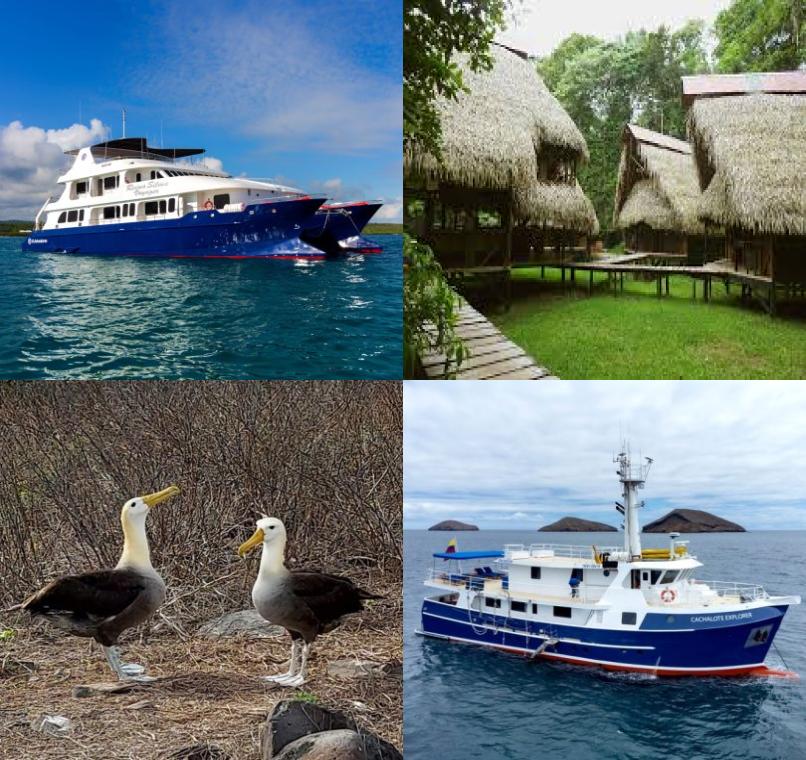 Galapagos Lastminutes & Jungle Tours