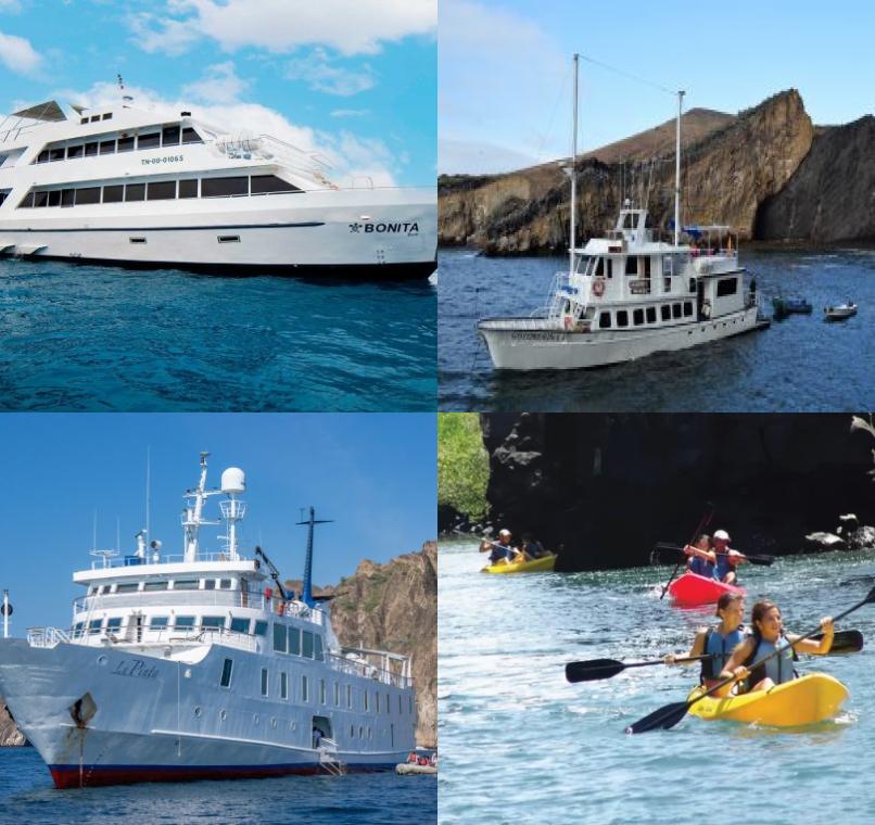 Galapagos Lastminutes & Jungle Tours