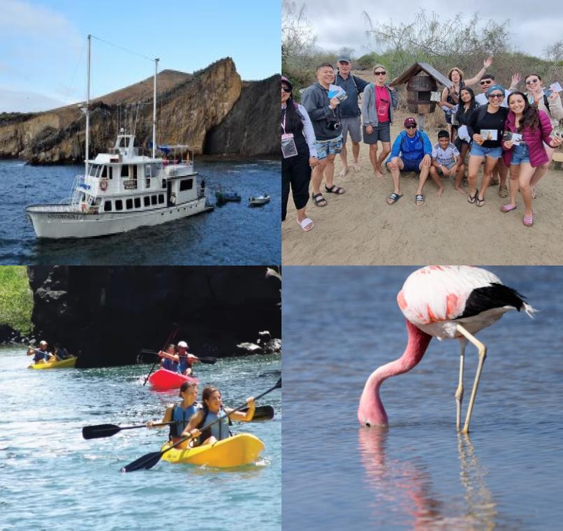Galapagos Lastminutes & Jungle Tours