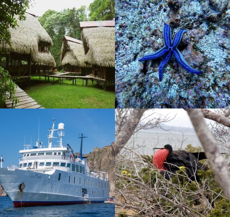 Galapagos Lastminutes & Jungle Tours