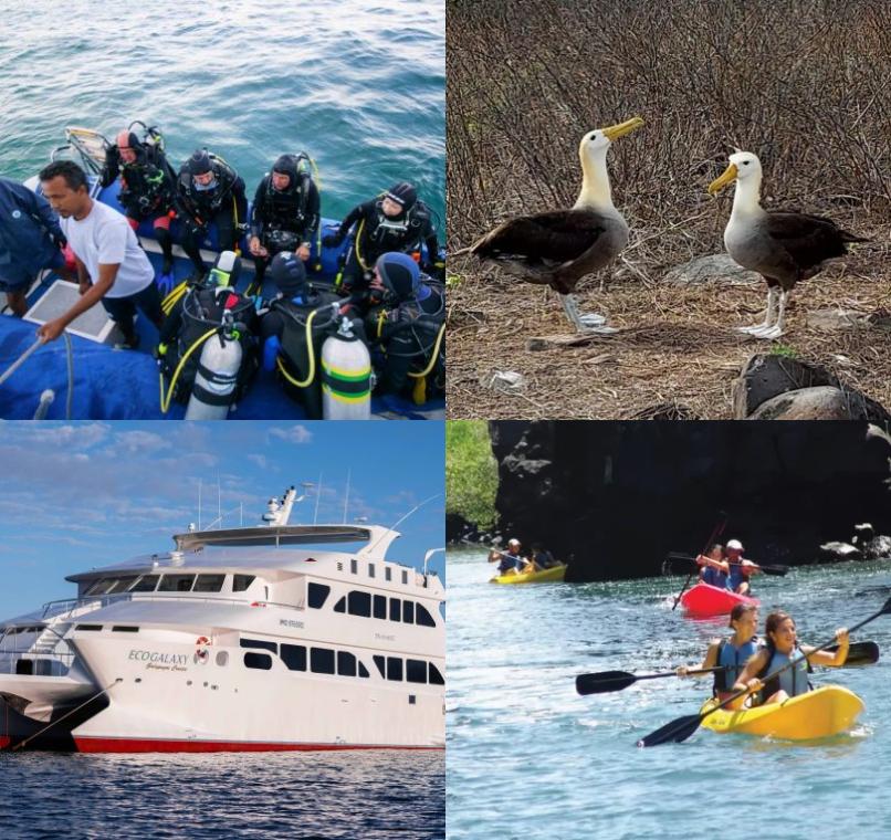 Galapagos Lastminutes & Jungle Tours