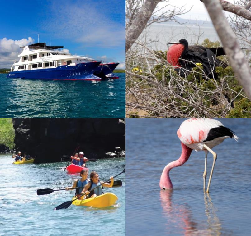 Galapagos Lastminutes & Jungle Tours