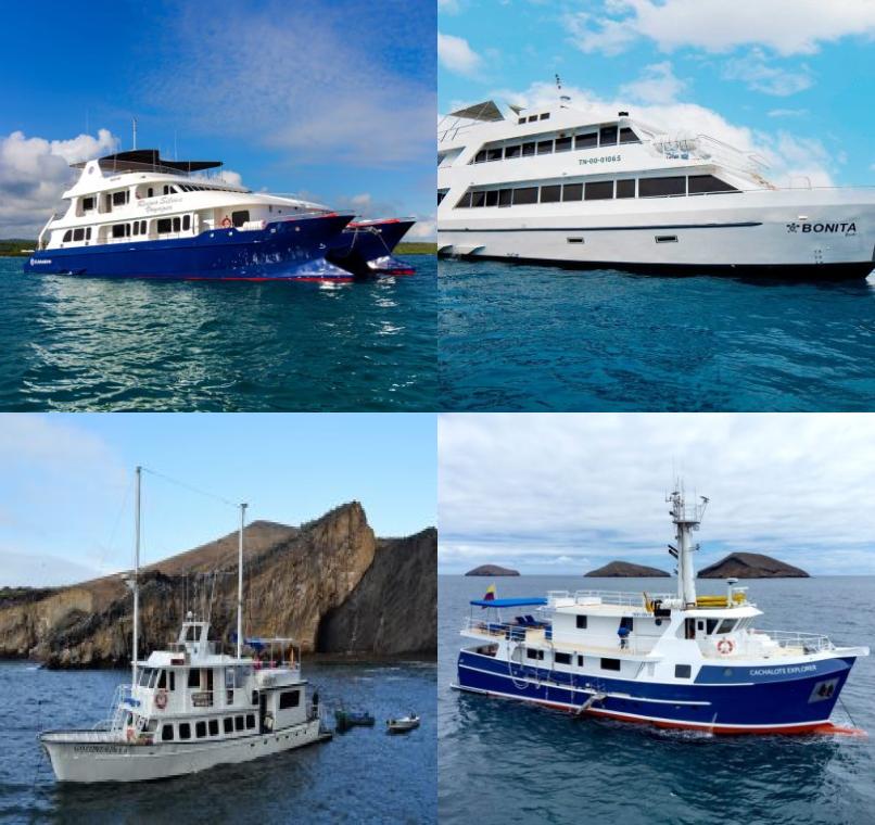 Galapagos Lastminutes & Jungle Tours