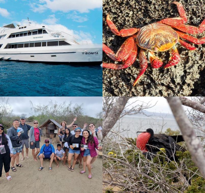 Galapagos Lastminutes & Jungle Tours