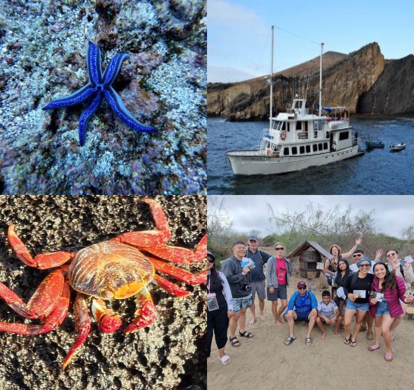 Galapagos Lastminutes & Jungle Tours