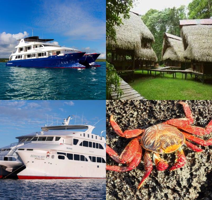 Galapagos Lastminutes & Jungle Tours