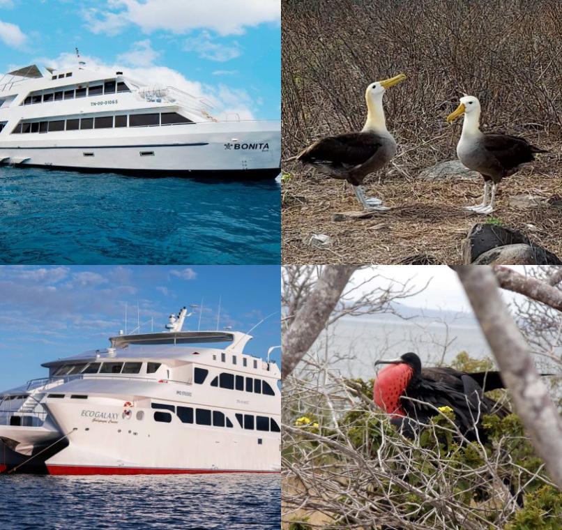 Galapagos Lastminutes & Jungle Tours